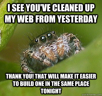 I see you've cleaned up my web from yesterday thank you! that will make it easier to build one in the same place tonight - I see you've cleaned up my web from yesterday thank you! that will make it easier to build one in the same place tonight  Misunderstood Spider