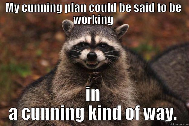 MY CUNNING PLAN COULD BE SAID TO BE WORKING IN A CUNNING KIND OF WAY. Evil Plotting Raccoon