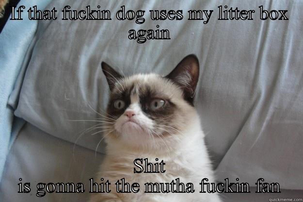 IF THAT FUCKIN DOG USES MY LITTER BOX AGAIN SHIT IS GONNA HIT THE MUTHA FUCKIN FAN Grumpy Cat