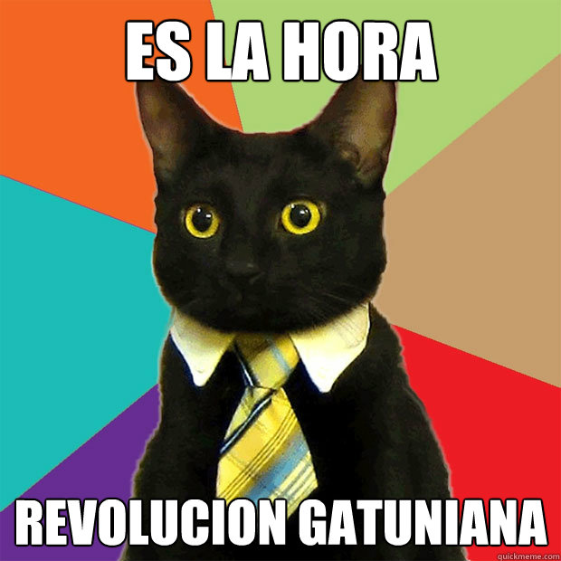 ES LA HORA REVOLUCION GATUNIANA  Business Cat