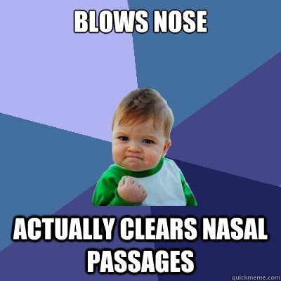 blows nose actually clears nasal passages - blows nose actually clears nasal passages  Success Kid