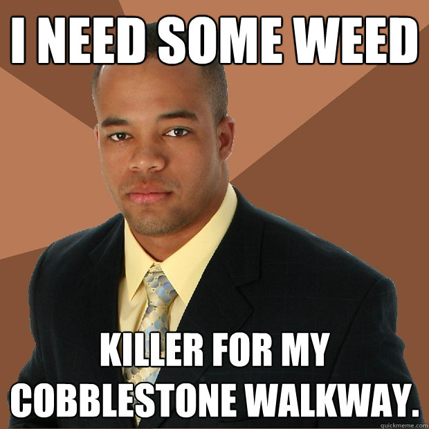 i need some weed killer for my cobblestone walkway.  Successful Black Man
