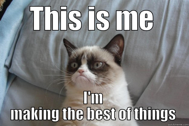 4 Days - THIS IS ME I'M MAKING THE BEST OF THINGS Grumpy Cat