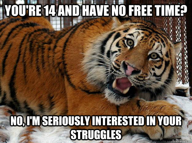 You're 14 and have no free time? no, i'm seriously interested in your struggles  Fascinated Tiger