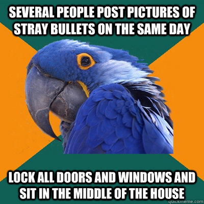 Several people post pictures of stray bullets on the same day Lock all doors and windows and sit in the middle of the house  Paranoid Parrot