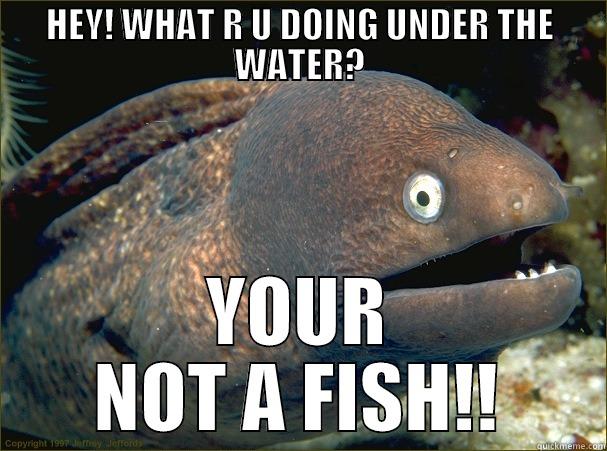 HEY! WHAT R U DOING UNDER THE WATER? YOUR NOT A FISH!! Bad Joke Eel