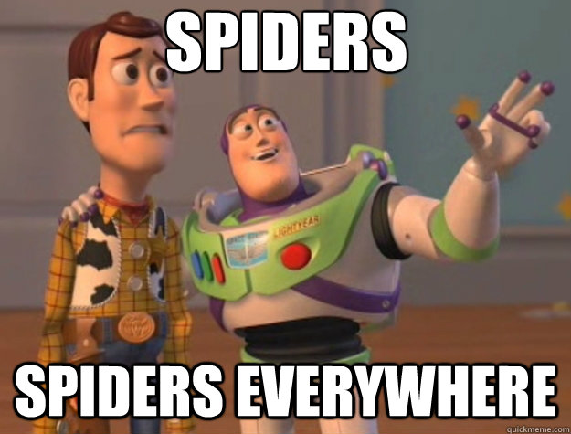 spiders spiders everywhere  Toy Story