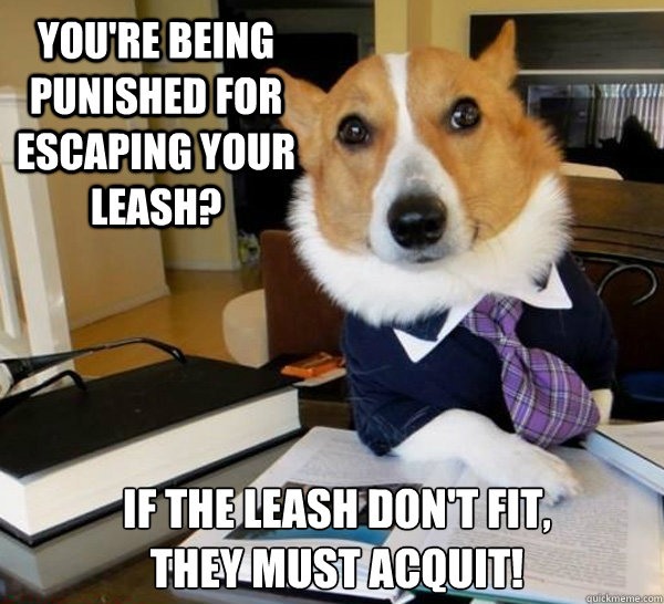 You're being punished for escaping your leash? If the leash don't fit,
they must acquit!  Lawyer Dog