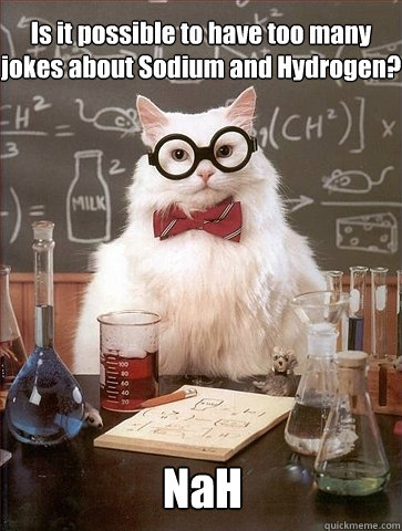 Is it possible to have too many jokes about Sodium and Hydrogen? NaH  Chemistry Cat