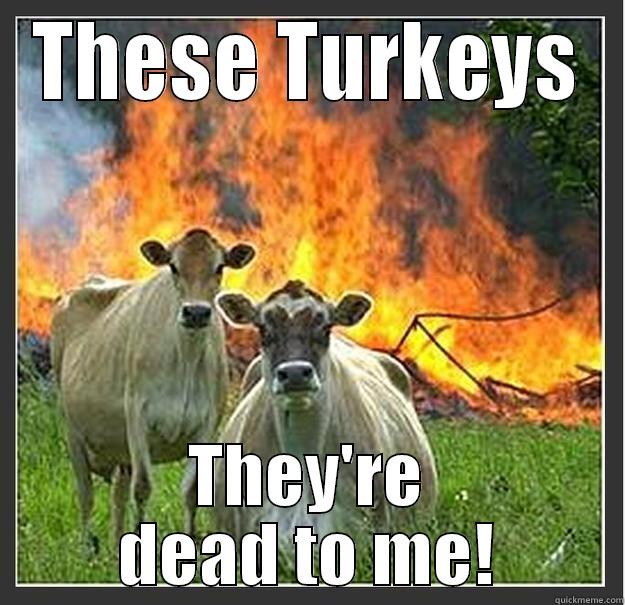 THESE TURKEYS THEY'RE DEAD TO ME! Evil cows