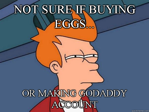 Not sure if buying eggs... or making Godaddy account  Futurama Fry