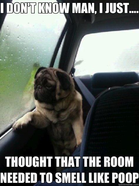 I DON'T KNOW MAN, I JUST.... THOUGHT THAT THE ROOM NEEDED TO SMELL LIKE POOP  Introspective Pug