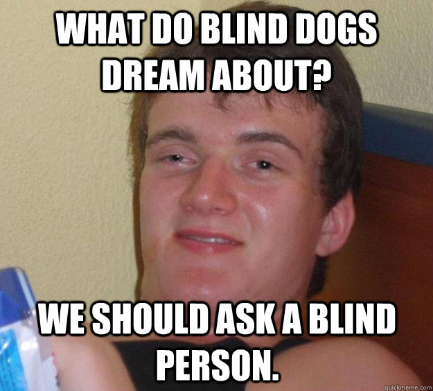 What do blind dogs dream about? We should ask a blind person. - What do blind dogs dream about? We should ask a blind person.  10 Guy