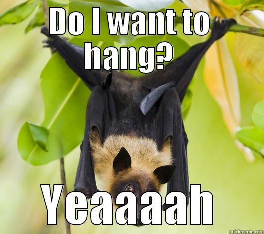 DO I WANT TO HANG? YEAAAAH Misc