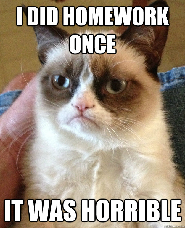 I did homework once IT WAS HORRIBLE  Grumpy Cat