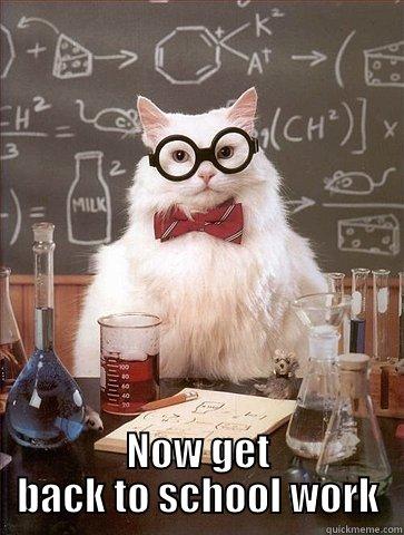  NOW GET BACK TO SCHOOL WORK Chemistry Cat