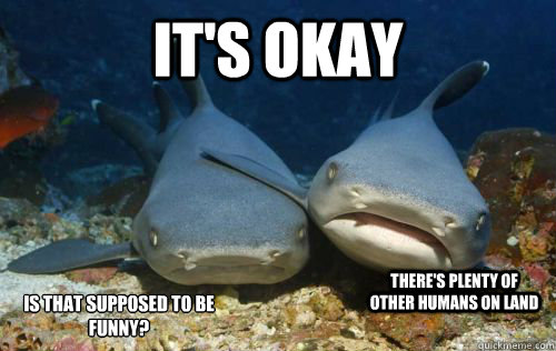 It's okay there's plenty of other humans on land is that supposed to be funny? - It's okay there's plenty of other humans on land is that supposed to be funny?  Compassionate Shark Friend