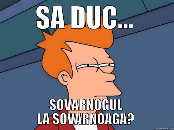 SA DUC... SOVARNOGUL LA SOVARNOAGA? Futurama Fry