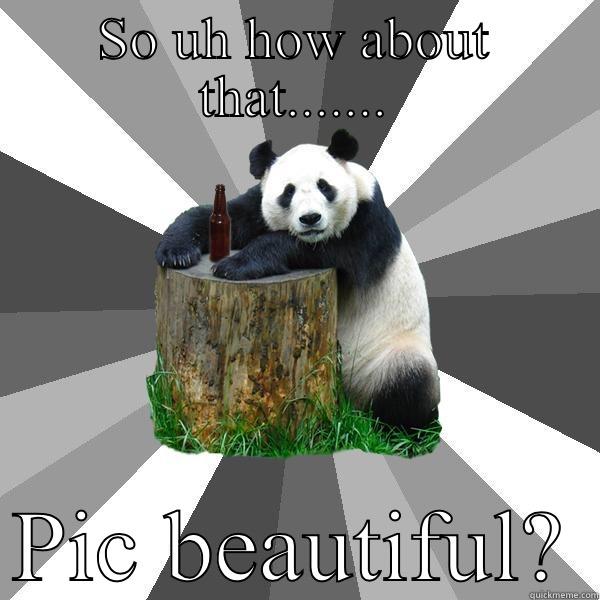 SO UH HOW ABOUT THAT.......  PIC BEAUTIFUL? Pickup-Line Panda