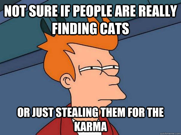 not sure if people are really finding cats or just stealing them for the karma - not sure if people are really finding cats or just stealing them for the karma  Futurama Fry