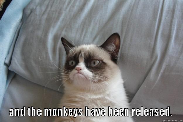  AND THE MONKEYS HAVE BEEN RELEASED. Grumpy Cat