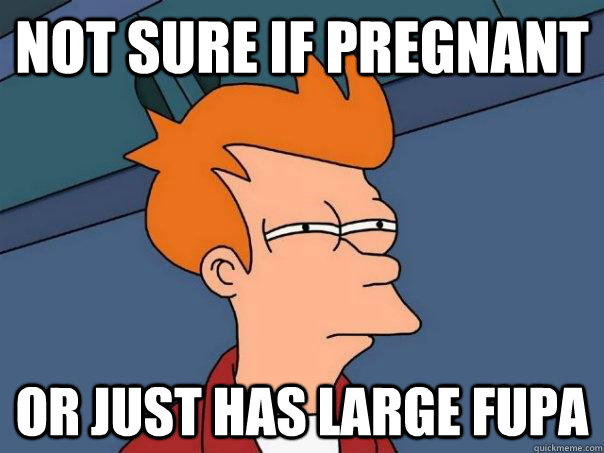 Not Sure If Pregnant Or Just Has Large Fupa Futurama Fry Quickmeme 8191