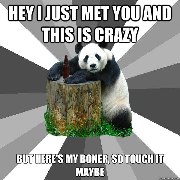 HEY I JUST MET YOU AND THIS IS CRAZY BUT HERE'S MY BONER, SO TOUCH IT MAYBE
  Pickup-Line Panda