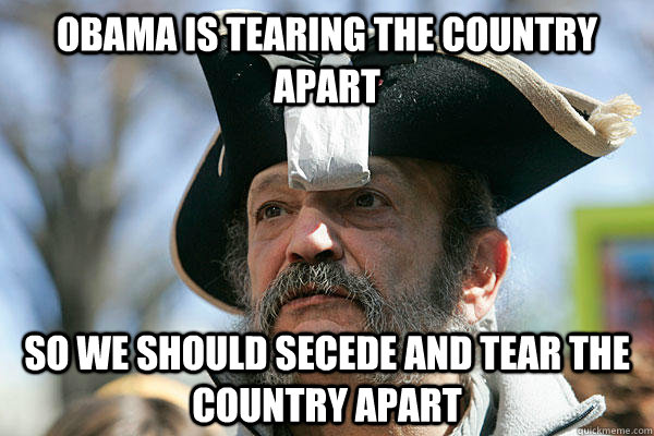 Obama is tearing the country apart so we should secede and tear the country apart  Tea Party Ted