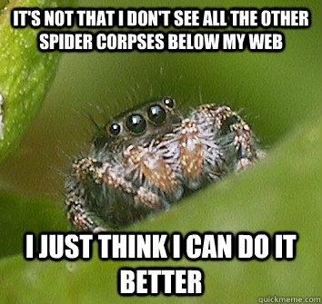 It's not that I don't see all the other spider corpses below my web I just think I can do it better  Misunderstood Spider