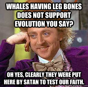 Whales having leg bones does not support evolution you say? Oh yes, clearly they were put here by Satan to test our faith.  Condescending Wonka