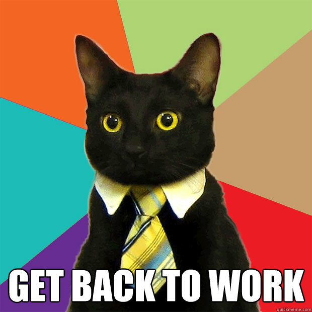  Get back to work -  Get back to work  Business Cat