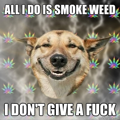 all i do is smoke weed i don't give a fuck  Stoner Dog