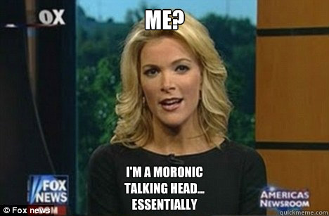 Me? I'm a moronic
talking head...
Essentially  Megyn Kelly