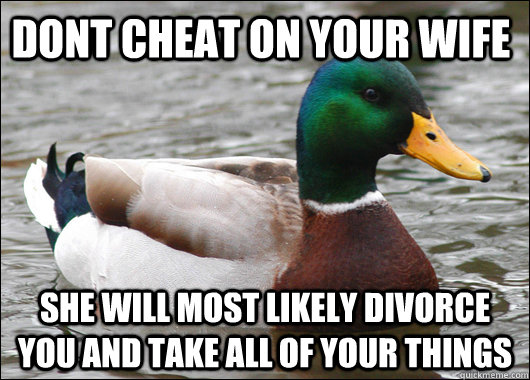 Dont cheat on your wife she will most likely divorce you and take all of your things  Actual Advice Mallard