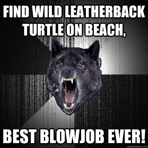 Find wild leatherback turtle on beach, Best blowjob ever!  Insanity Wolf