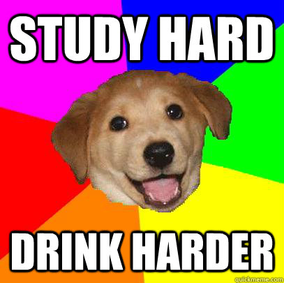 Study hard Drink harder - Study hard Drink harder  Advice Dog