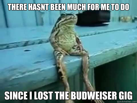 There hasnt been much for me to do since I lost the budweiser gig - There hasnt been much for me to do since I lost the budweiser gig  SITTING FROG