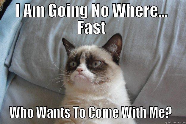 Going No Where... Fast - I AM GOING NO WHERE... FAST WHO WANTS TO COME WITH ME?  Grumpy Cat