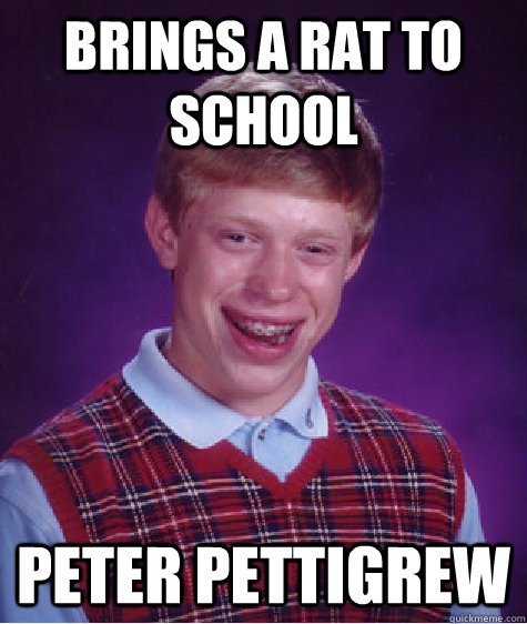 Brings a rat to school Peter Pettigrew - Brings a rat to school Peter Pettigrew  Bad Luck Brian