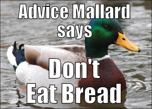 ADVICE MALLARD SAYS DON'T EAT BREAD Actual Advice Mallard