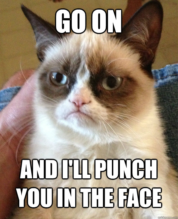 Go on and i'll punch you in the face  Grumpy Cat