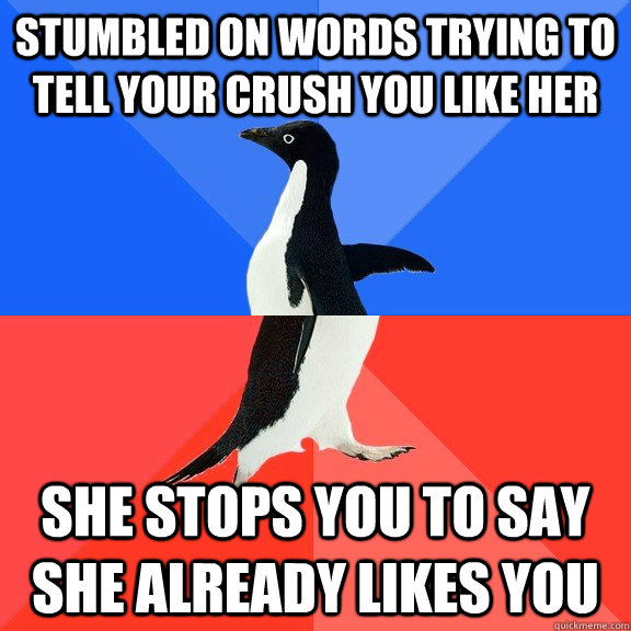 Stumbled on words trying to tell your crush you like her she stops you to say she already likes you  Socially Awkward Awesome Penguin