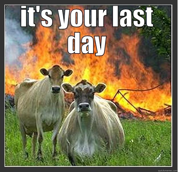   - IT'S YOUR LAST DAY  Evil cows