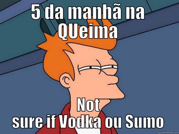 5 DA MANHÃ NA QUEIMA NOT SURE IF VODKA OU SUMO Futurama Fry