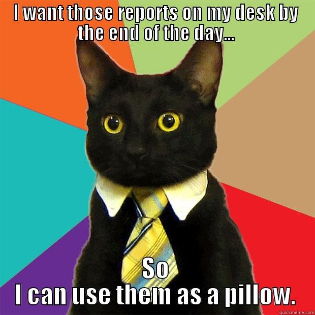 pillows and reports office cat - I WANT THOSE REPORTS ON MY DESK BY THE END OF THE DAY... SO I CAN USE THEM AS A PILLOW. Business Cat