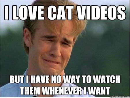 I love cat videos But I have no way to watch them whenever I want  1990s Problems