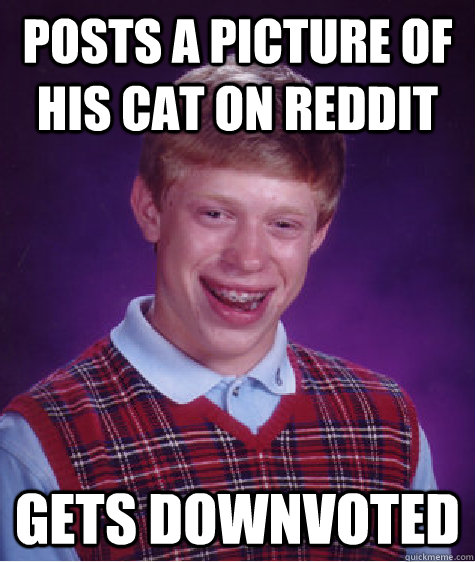 posts a picture of his cat on reddit gets downvoted  Bad Luck Brian