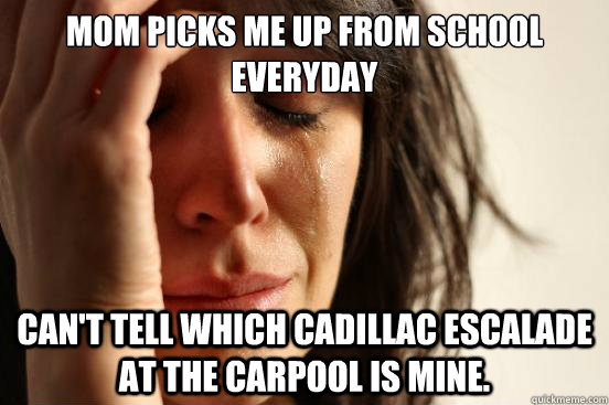 Mom picks me up from school everyday can't tell which cadillac escalade at the carpool is mine.  First World Problems