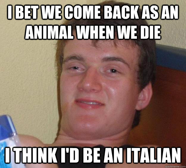 i bet we come back as an animal when we die i think i'd be an italian  10 Guy