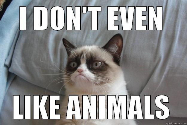 I DON'T EVEN LIKE ANIMALS Grumpy Cat